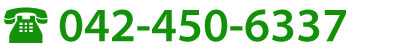 042-450-6337
